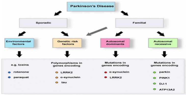 weMEDClinics, Treatment, Parkinson's Disease, Genetic Risk Factors